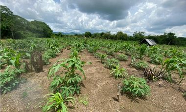 FINCA EN VENTA, LURUACO, ATLANTICO