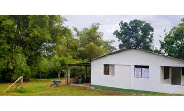 OPORTUNIDAD Venta finca (ganado) Vereda Los Andes, Vistahermosa