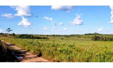 OPORTUNIDAD Venta finca (ganado) Vereda Los Andes, Vistahermosa