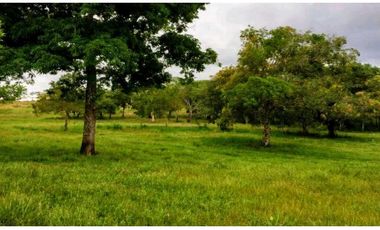 OPORTUNIDAD Venta finca (ganado) Vereda Los Andes, Vistahermosa
