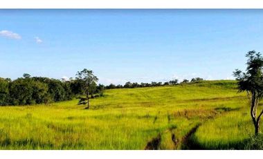 OPORTUNIDAD Venta finca (ganado) Vereda Los Andes, Vistahermosa