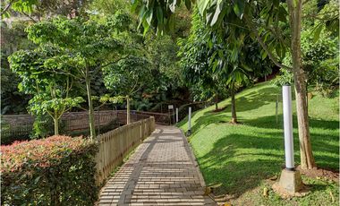 Venta apartamento - Los Balsos - Medellín