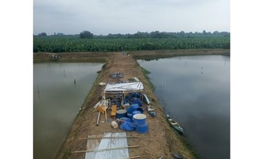 CAMARONERA EN VENTA – TENGUEL  10 HAS