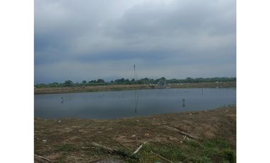 CAMARONERA EN VENTA – TENGUEL  10 HAS