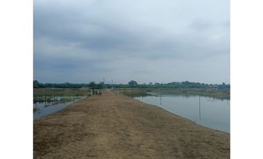 CAMARONERA EN VENTA – TENGUEL  10 HAS