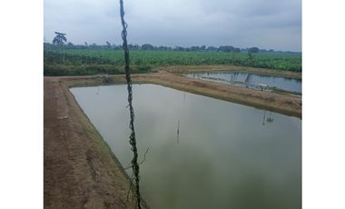 CAMARONERA EN VENTA – TENGUEL  10 HAS