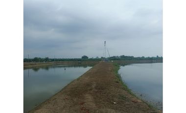 CAMARONERA EN VENTA – TENGUEL  10 HAS