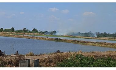 CAMARONERA EN VENTA – TENGUEL  10 HAS