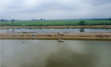 CAMARONERA EN VENTA – TENGUEL  10 HAS