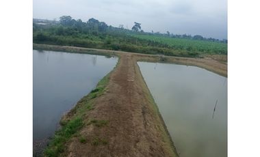 CAMARONERA EN VENTA – TENGUEL  10 HAS