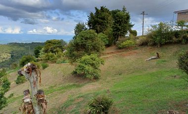 Venta Dapa Casa Finca Para Remodelar A Su Gusto, Sector Miravalle Yumbo Dapa Finca Lote Casa Campestre