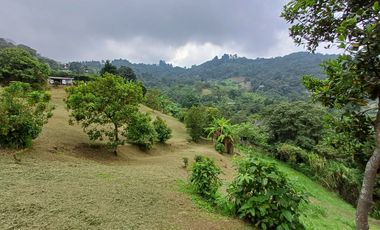 Venta Dapa Casa Finca Para Remodelar A Su Gusto, Sector Miravalle Yumbo Dapa Finca Lote Casa Campestre