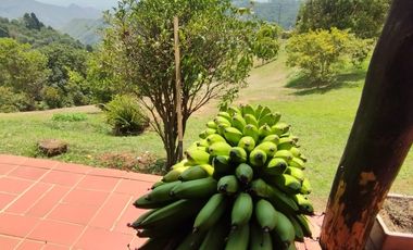 Venta Dapa Casa Finca Para Remodelar A Su Gusto, Sector Miravalle Yumbo Dapa Finca Lote Casa Campestre