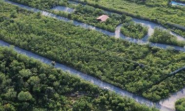 TERRENO EN VENTA FRENTE A ALDEA CONKAL AL NORTE DE MERIDA.