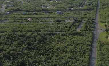 TERRENO EN VENTA FRENTE A ALDEA CONKAL AL NORTE DE MERIDA.