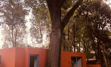 Casa en Renta en ATLAMAYA