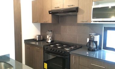 Renta Departamento amueblado en la Cuauhtémoc con Roof Garden privado