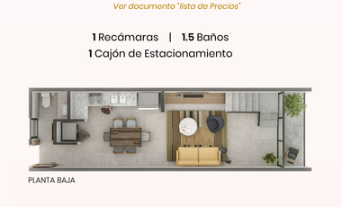 DEPARTAMENTO DE ENTREGA INMEDIATA, TEMOZÓN MÉRIDA