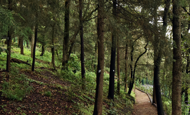 Departamento en Venta, Tres Cumbres SantaFe. Cuajimalpa