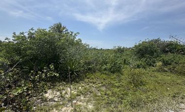 Venta Terreno en San Benito Yucatan