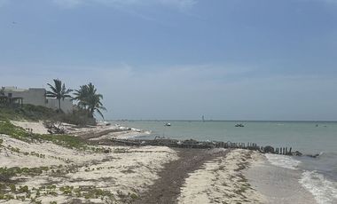 Venta Terreno en San Benito Yucatan