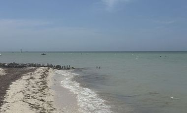 Venta Terreno en San Benito Yucatan