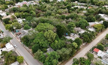 TERRENO EN VENTA EN TICOPÓ A 30 MINUTOS DE MÉRIDA, PARA DESARROLLAR