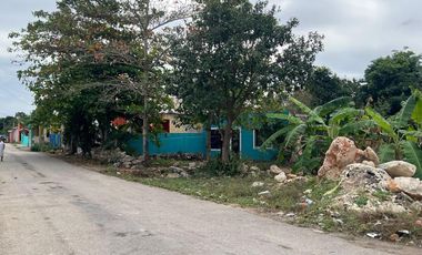 TERRENO EN VENTA EN TICOPÓ A 30 MINUTOS DE MÉRIDA, PARA DESARROLLAR