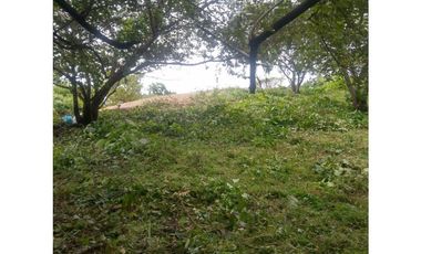 Venta de Lote Punta Barco, San José, San Carlos