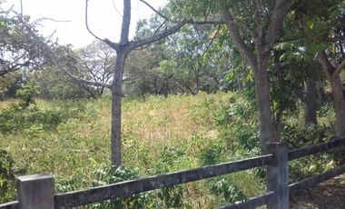 Venta de Lote Punta Barco, San José, San Carlos