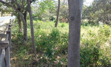 Venta de Lote Punta Barco, San José, San Carlos