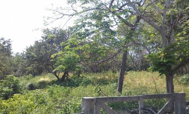 Venta de Lote Punta Barco, San José, San Carlos