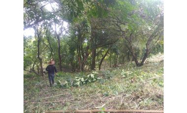 Venta de Lote Punta Barco, San José, San Carlos