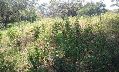 Venta de Lote Punta Barco, San José, San Carlos