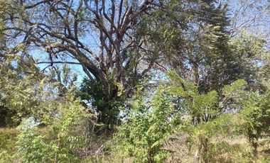 Venta de Lote Punta Barco, San José, San Carlos