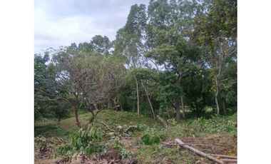 Venta de Lote Punta Barco, San José, San Carlos