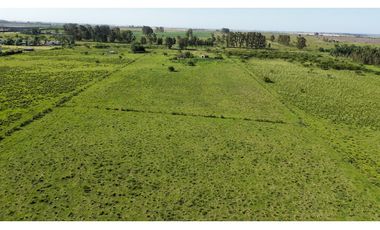 Vendo Campo 20 Has en Ruta 39 Concepción del Uruguay Entre Ríos