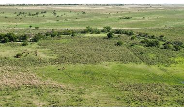 Vendo Campo 20 Has en Ruta 39 Concepción del Uruguay Entre Ríos