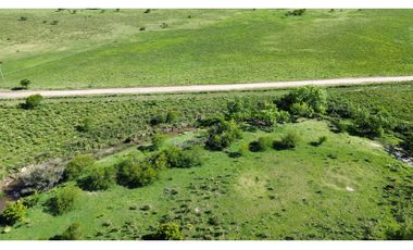 Vendo Campo 20 Has en Ruta 39 Concepción del Uruguay Entre Ríos