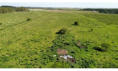 Vendo Campo 20 Has en Ruta 39 Concepción del Uruguay Entre Ríos