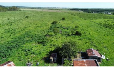 Vendo Campo 20 Has en Ruta 39 Concepción del Uruguay Entre Ríos