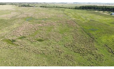 Vendo Campo 20 Has en Ruta 39 Concepción del Uruguay Entre Ríos