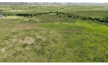Vendo Campo 20 Has en Ruta 39 Concepción del Uruguay Entre Ríos