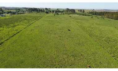 Vendo Campo 20 Has en Ruta 39 Concepción del Uruguay Entre Ríos