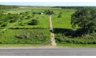 Vendo Campo 20 Has en Ruta 39 Concepción del Uruguay Entre Ríos
