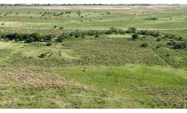 Vendo Campo 20 Has en Ruta 39 Concepción del Uruguay Entre Ríos