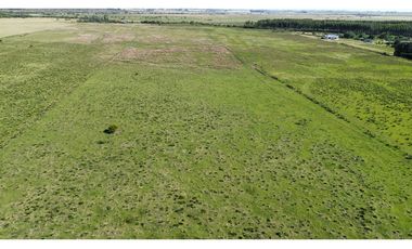 Vendo Campo 20 Has en Ruta 39 Concepción del Uruguay Entre Ríos