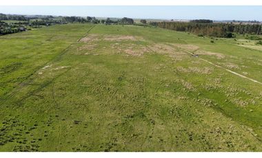 Vendo Campo 20 Has en Ruta 39 Concepción del Uruguay Entre Ríos