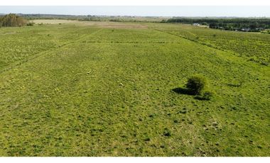 Vendo Campo 20 Has en Ruta 39 Concepción del Uruguay Entre Ríos