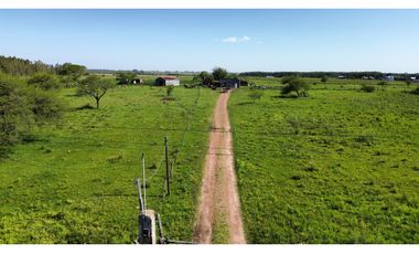 Vendo Campo 20 Has en Ruta 39 Concepción del Uruguay Entre Ríos